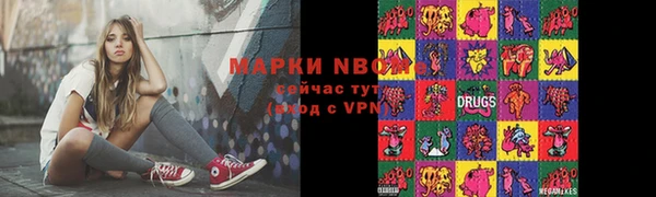 МДПВ Карпинск