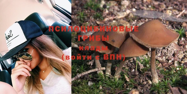 прущая мука Касимов