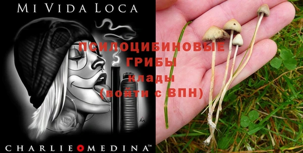 mdma Каменск-Шахтинский