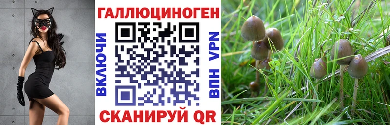Галлюциногенные грибы Psilocybine cubensis Великий Устюг